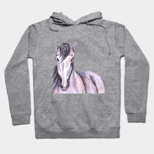 Horse Hoodie